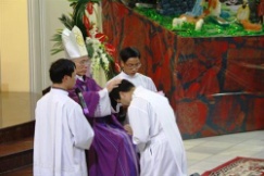 Bac Ninh diocese holds Diaconate ordainment